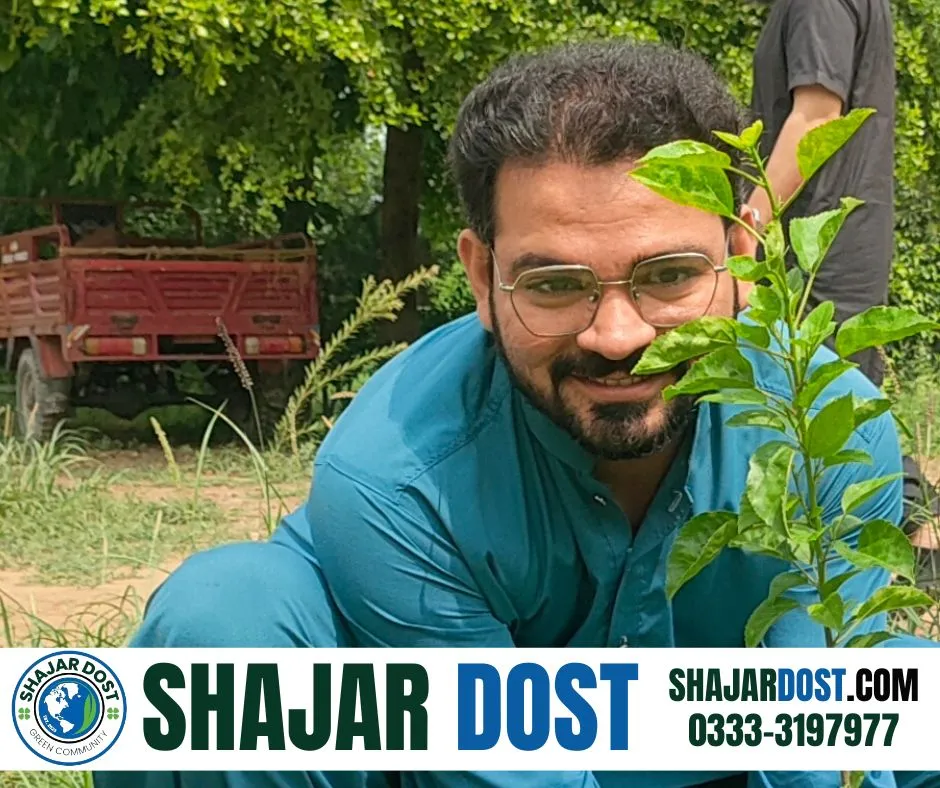 Green Seekers Activity